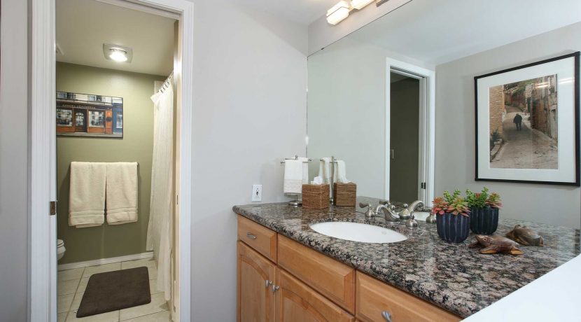 Master-Bathroom-(2)