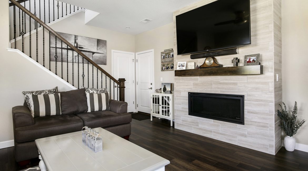 Fireplace Detail_MLS