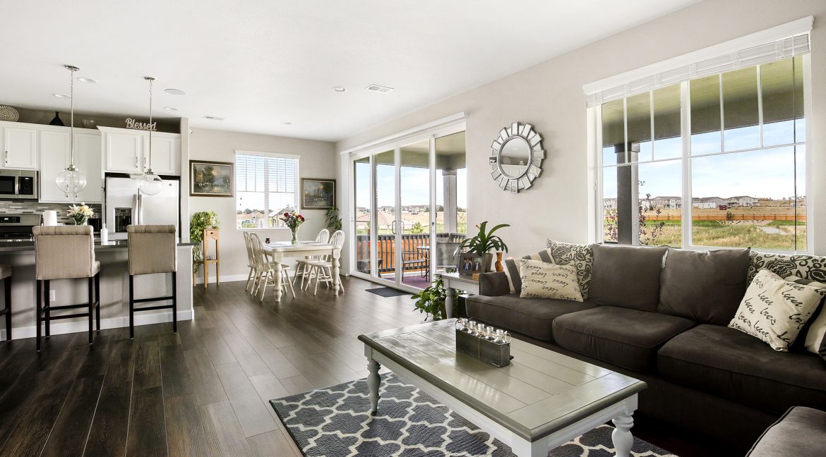 Open Living Areas 2_MLS